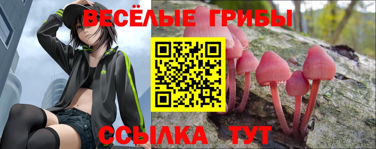Псилоцибиновые грибы Magic Shrooms  Галлюциногенные грибы Cubensis  Вход с VPN  Северск 